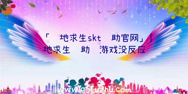 「绝地求生skt辅助官网」|绝地求生辅助进游戏没反应